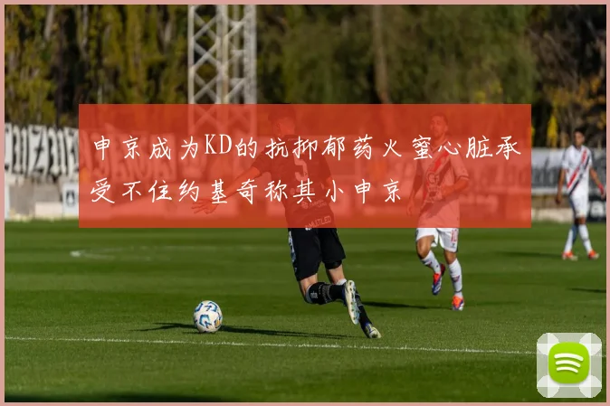 申京成为KD的抗抑郁药火蜜心脏承受不住约基奇称其小申京