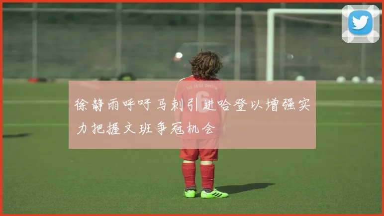 徐静雨呼吁马刺引进哈登以增强实力把握文班争冠机会