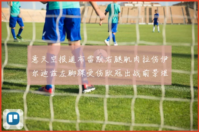 意天空报道布雷默右腿肌肉拉伤伊尔迪兹左脚踝受伤欧冠出战前景堪忧