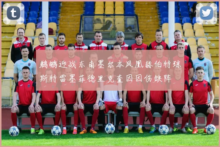 鹈鹕迎战东南墨尔本凤凰赫伯特琼斯特雷墨菲德里克奎因因伤缺阵