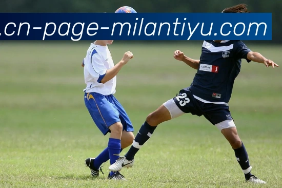 多媒体互动体验