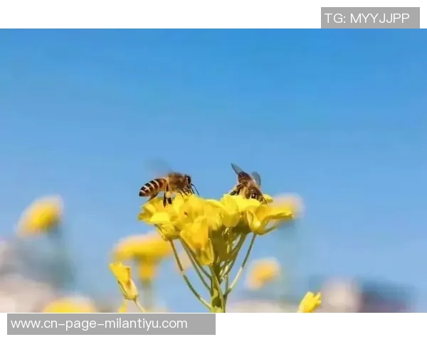 奥斯卡回忆疫情期间差点加盟巴萨愿意低薪为球队效力六个月